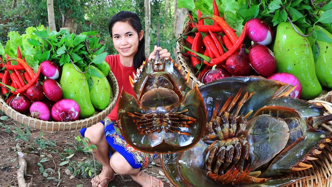 yummy cooking horseshoes crab recipe mixed horseshoes crab eating