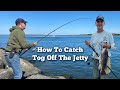 How to catch tog off the jetty tautog jettyfishing blackfish