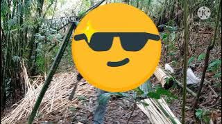 sedo pegawai negeri- Jon kariando purba... video