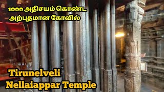 1000 அதிசயம் கொண்ட அற்புதமான கோவில் ,  நெல்லையப்பர் கோவில்