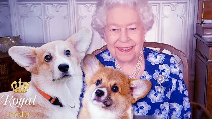 The Queen chooses touching names for her new puppies | Royal Insider