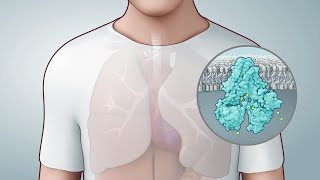 3D Medical and Scientific Animation Showreel 2015 | AXS Studio