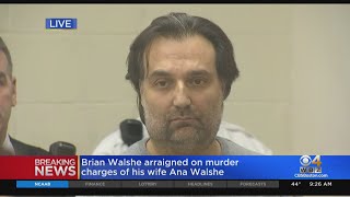 Gruesome details revealed in court as Brian Walshe charged with murdering wife Ana Walshe