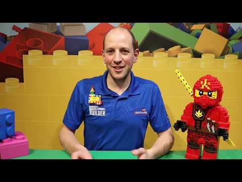 Build a LEGO Frog at Home! Quick and Easy Step By Step Tutorial from a LEGO Master Model Builder