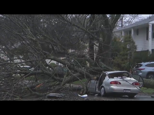 Driver Injured When Car Smashes Into Tree During Storm On Long Island Ncpd