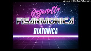 VERDE LUNA, Fisarmonica Diatonica, COVER, M° CRISTIAN RUGGIERI