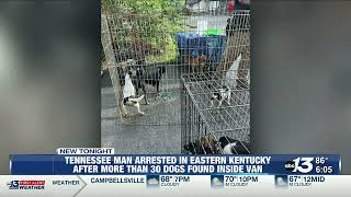 Tennessee man arrested in Eastern Kentucky, more than 30 dogs found inside van