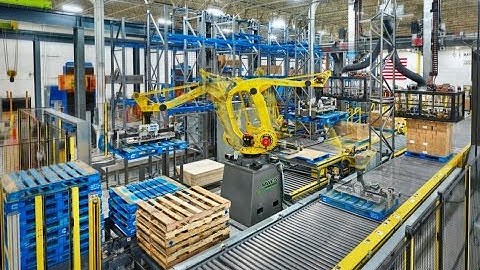 Automated Mixed Layer palletizing & ASRS for Large Distribution Centers