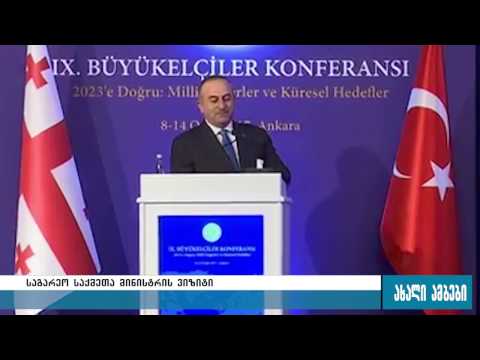 მიხეილ ჯანელიძემ თურქ ხალხს სამძიმარი გამოუცხადა 11.01.2017