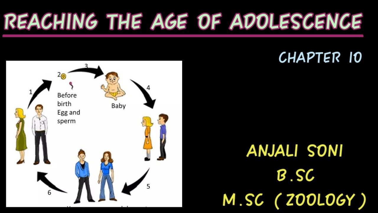 Class 8th Ncert Science Chapter 10 Reaching The Age Of Adolescence Youtube