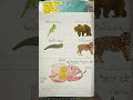 #Herbivores #omnivorous #science #trending #viral #vocabs #trendingshorts