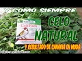 CELO NATURAL Y CASERO