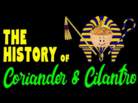 The History of Coriander & Cilantro / Coriander facts