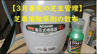 【3月春先の芝生管理】芝専用除草剤を散布する[Lawn management in early spring of March] Spray a turf-specific herbicide