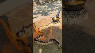 Eggs Science Experiment-