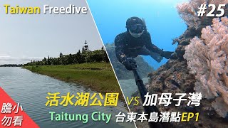 Freediving | 台東本島潛點| 活水湖| 加母子灣| 傑哥帶你玩Jerry ... 