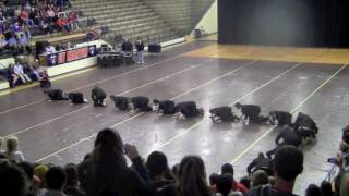 LineDance 2012- SAE