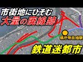 【カオス】市街地に廃駅、廃線だらけ!!これを観れば、新潟駅周辺の鉄道の歴史が分かる!!〈新潟市〉沼垂駅 焼島駅 東新潟港駅 万代駅 新潟港駅