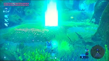 How I got the Twilight Bow in Zelda BotW