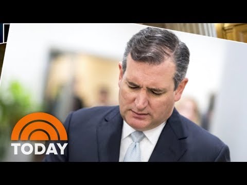 Video: Lui Ted Cruz îi Place Un Videoclip Porno