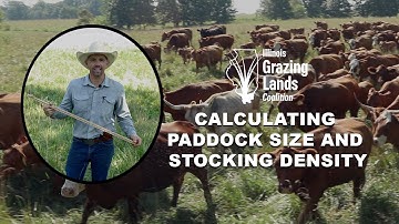 Calculating Paddock Size and Stocking Rate on Your Adaptive Grazing System