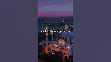 واتس اب قران كريم القارئ شريف مصطفى (سوره النور)