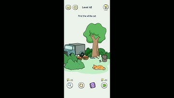 Brain Out 2 Level 48 Find the white cat walkthrough solution