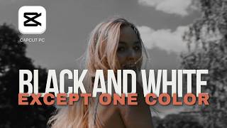 How to Turn Everything into Black and White Except One Color in CapCut PC