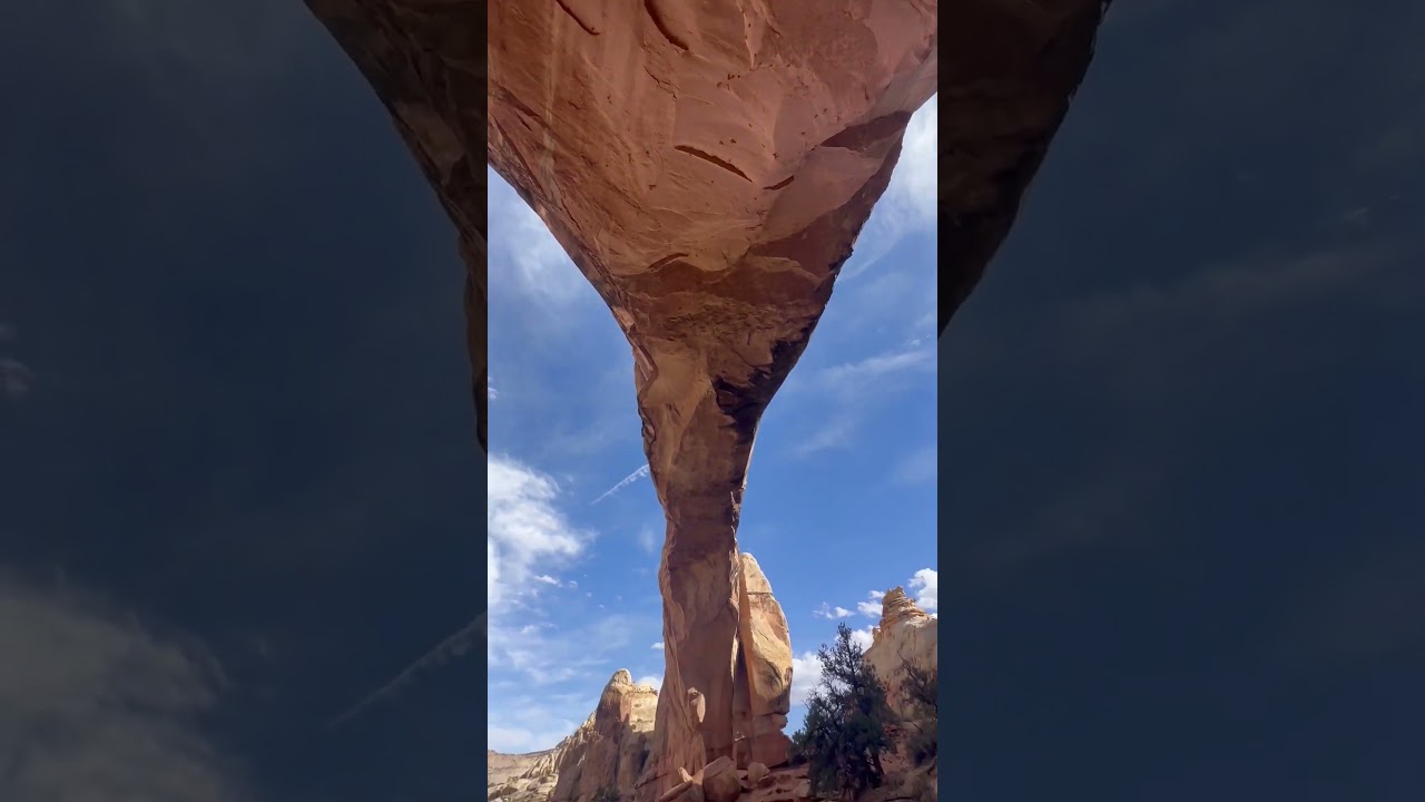 "Compact World Ventures"