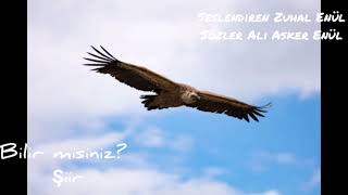 Bilir Misiniz Seslendiren Zuhal Enül Söz Ali Asker Enül Şiir