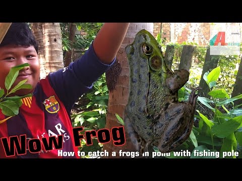 13 years old boy hunting frog in pond with fishing pole- catch