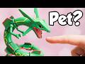 I Got a Pet Rayquaza | Pokémon