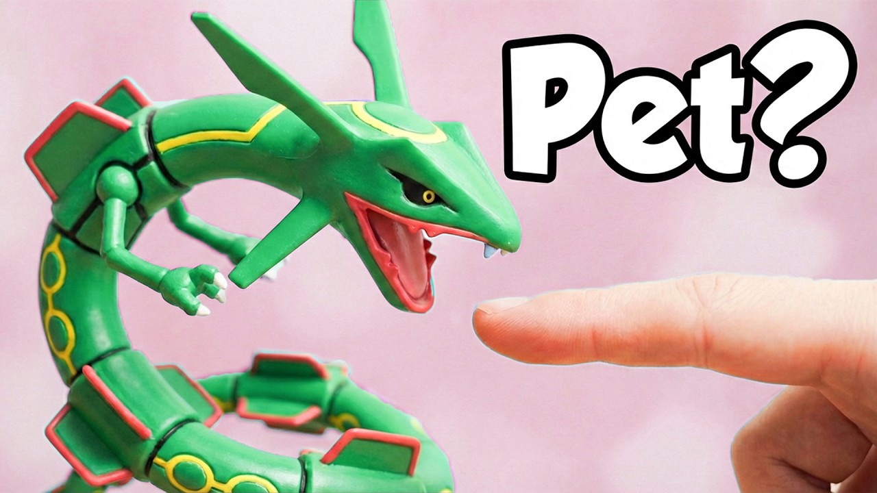 I Got a Pet Rayquaza | Pokémon