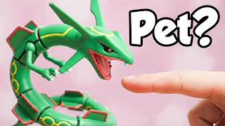 I Got a Pet Rayquaza | Pokémon