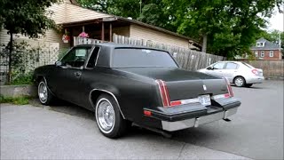 SHARP '81 OLDS CUTLASS SUPREME SIGHTING