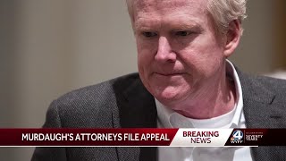 Attorneys for Alex Murdaugh file appeal following double murder conviction