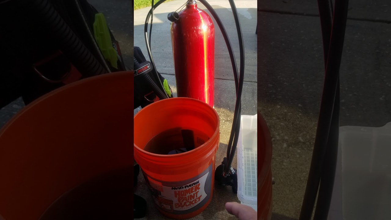 Cleaning and sterilizing dive gear! YouTube