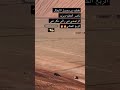 مقطع من وصول الابطال ناصر العطيه ويزيد الراجحي في رالي دكار في الربع الخالي