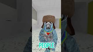 Members… #gorillatag #gorillatagquest #gtag #vr
