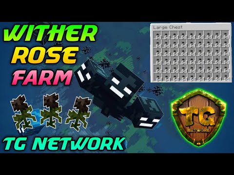 How to Make a Wither Rose Farm 🥀 | 100k $ per Day 💵 | Infinite wither