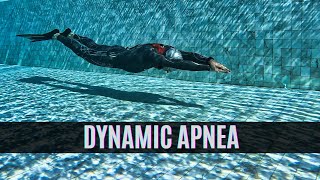 How To Do Dynamic Apnea With Fins Freediving Pool Training