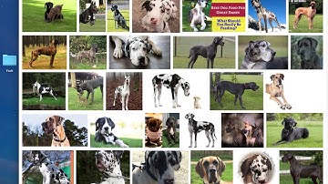 Watson Visual Recognition Tutorial (part 3)