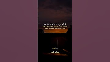 #قرآن #القرآن_الكريم #quran #ياسر_الدوسري #سورة_آل_عمران #لا_اله_الا_الله