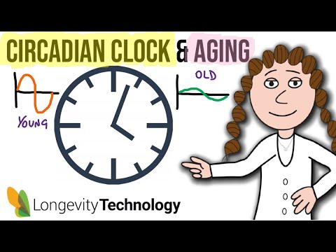 Video: A Link Has Been Established Between The Biological Clock And Aging - Alternative View