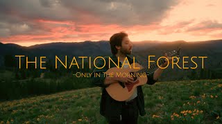 The National Forest - Only In The Morning (Official Live Video)