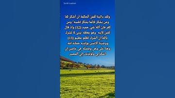 #القرآن_الكريم #ياسر_الدوسري #أيات_قرأنية #سورة_لقمان