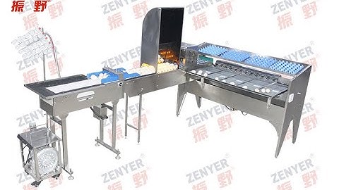 ZENYER 102BS egg grading machine 5400 eggs/hour