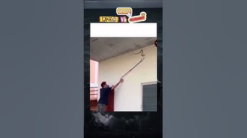 🐍Cách bắt rắn hiệu quả . #memes #funny #shorts
