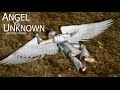 Angel VS Unknown (KO Ending)