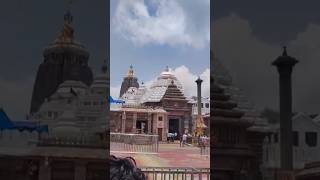 today's patitapaban jii ka Darshan | jagannath Darshan | jagannath tv | puri Jagannath dham